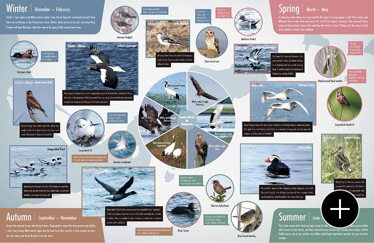 Bird Calendar